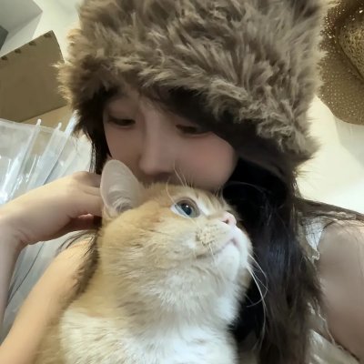 鹰与枭